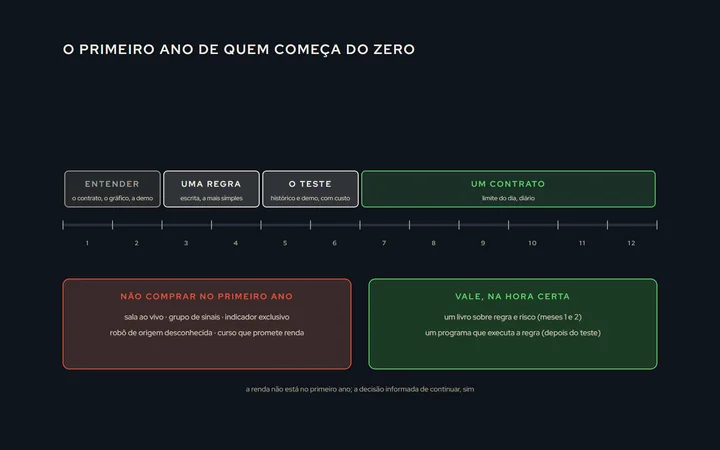 Uma linha do tempo de doze meses dividida em fases: entender (1 e 2), uma regra (3 e 4), o teste (5 e 6), um contrato com limite (7 a 12); em cada fase, o que se compra e o que não se compra