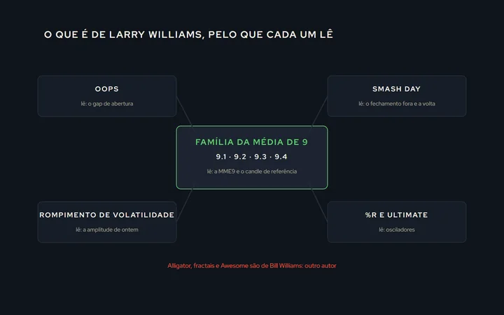 Um mapa com os setups em caixas: a família da média de 9 no centro, e ao redor o Oops, o Smash Day, o rompimento de volatilidade, o %R e o Ultimate Oscillator, ligados ao que cada um usa: candle, gap, amplitude, oscilador